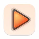 Elmedia Player Pro For Mac